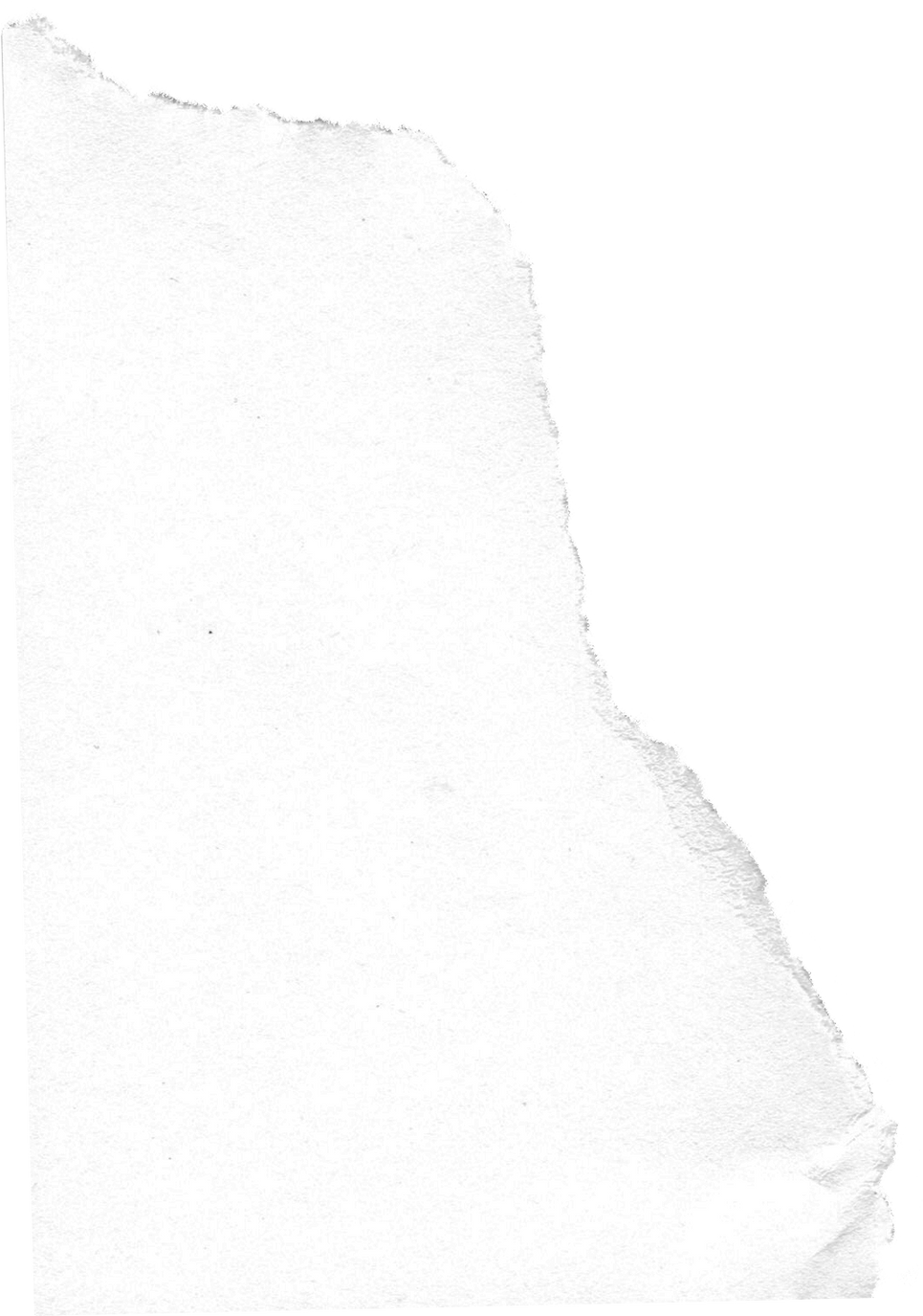 White Paper